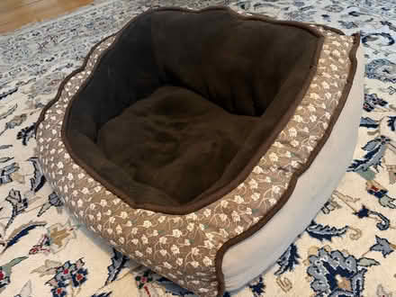 Photo of free Dog items (Porter Square) #2