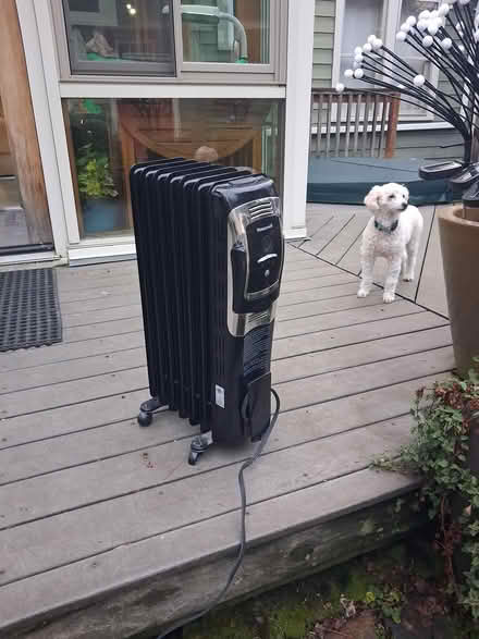 Photo of free Space Heater - oil-filled (Bryant) #1