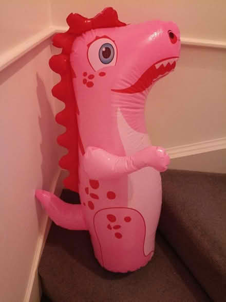Photo of free Pink inflatable dinosaur (Haywood RG12) #1