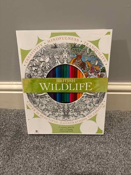 Photo of free British wildlife colouring set (S8 woodseats) #1