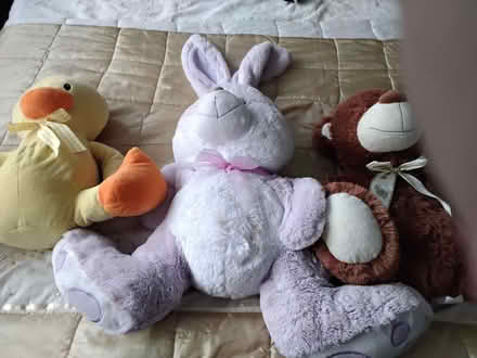 Photo of free Three large soft toys (Carnforth LA5) #1