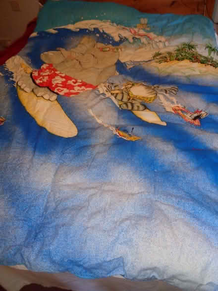 Photo of free Single duvet v good clean condition (TQ12 4QX) #1
