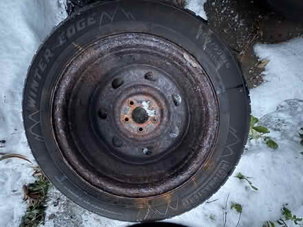 Photo of free 205/55R16 winter tires & wheels (Browns Line/Lakeshore) #3