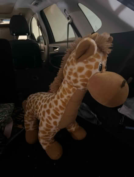 Photo of free Adorable stuffed giraffe (Homestead and Hollenbeck) #1
