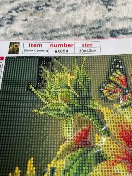 Photo of free Diamond sticking craft (S6 Walkley) #3