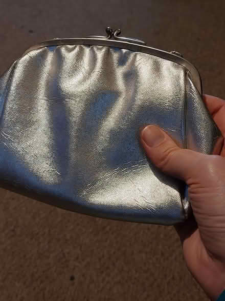 Photo of free Small silver bag (Coley RG1) #2