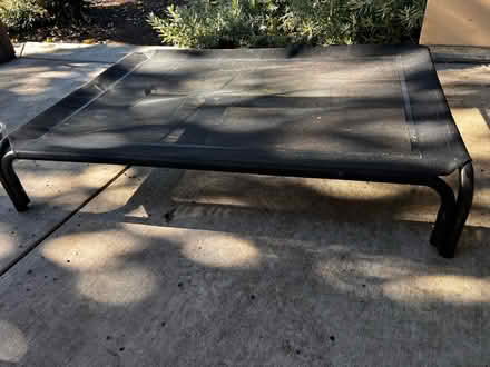 Photo of free Elevated dog bed (Calderon and Mercy) #1