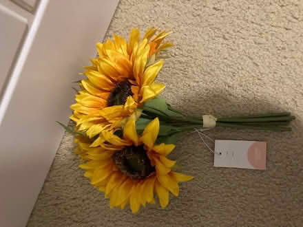 Photo of free Fake sunflowers (Thorney Leys OX28) #1