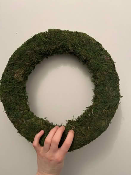 Photo of free Moss wreath (North Shields NE30) #2