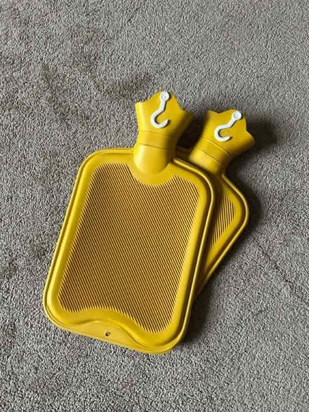 Photo of free Two hot water bottles (South Acton, W4) #1