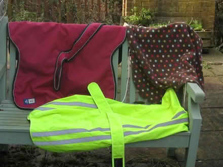 Photo of free Dog Coats (Springfield, Chelmsford, CM1) #1