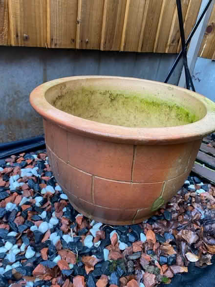 Photo of free Plant pot (Oakwood derby) #1