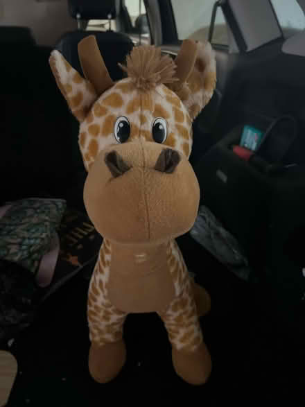 Photo of free Adorable stuffed giraffe (Homestead and Hollenbeck) #2