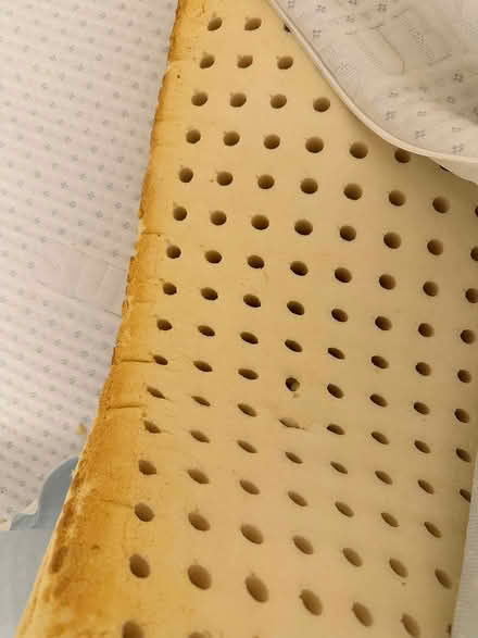 Photo of free Latex rubber mattress topper/cover (Arlington Center) #3