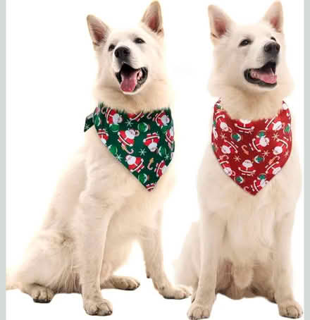 Photo of Christmas bandanas (or fabric) (Weston) #1
