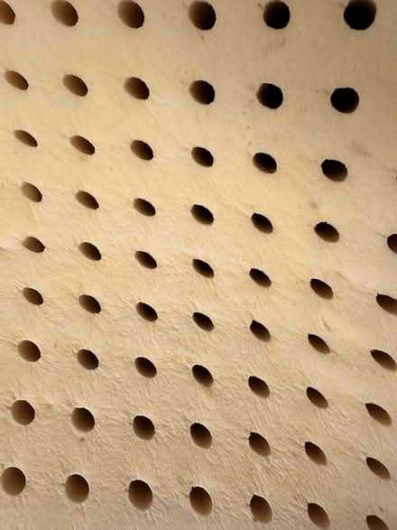 Photo of free Latex rubber mattress topper/cover (Arlington Center) #2