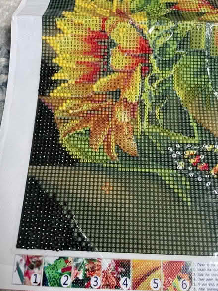 Photo of free Diamond sticking craft (S6 Walkley) #2