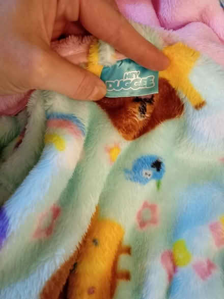 Photo of free Unisex Hey duggie housecout √√√ (Richmond TW9) #1