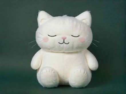 Photo of White cat cuddly toy (Coton Hill SY1) #1