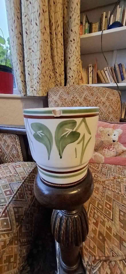 Photo of free Indoor plantpot (Harrogate HG1) #2