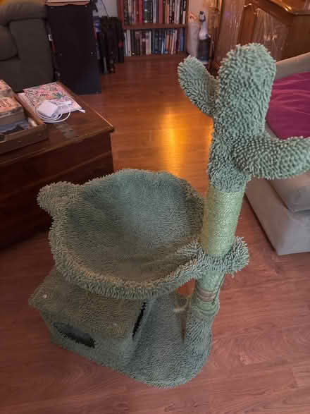 Photo of free Cactus Cat Tower (Olney, MD) #3