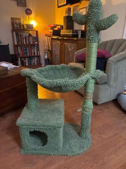 Photo of free Cactus Cat Tower (Olney, MD) #1