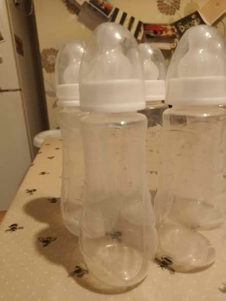 Photo of free Baby bottles x 5 (Bromborough CH62) #3