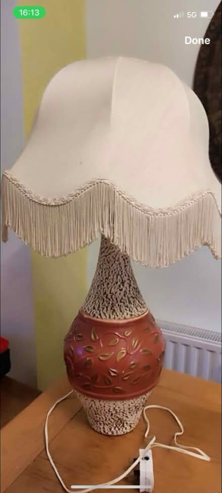 Photo of Fringe-y lampshades (Terenure) #1