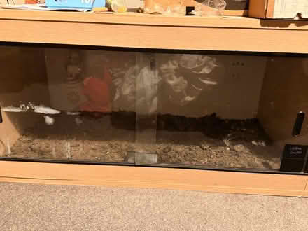 Photo of free 3ft Vivarium (Ilkeston DE7) #1