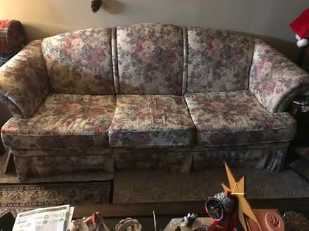 Photo of free Flower print sofa (O Street PT) #3