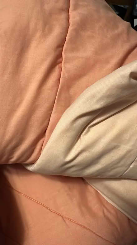 Photo of free Blankets and sheets (West Medford) #4