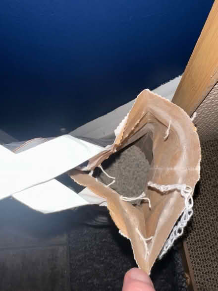 Photo of free Cat litter and scratcher (Greater Leys OX4) #2