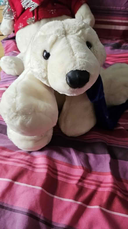 Photo of free 2 Cuddly Toys (CT8) #2