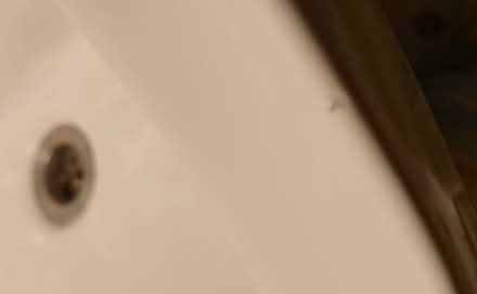 Photo of free Basin inc. Victorian-style taps (Central Crouch End N8) #4