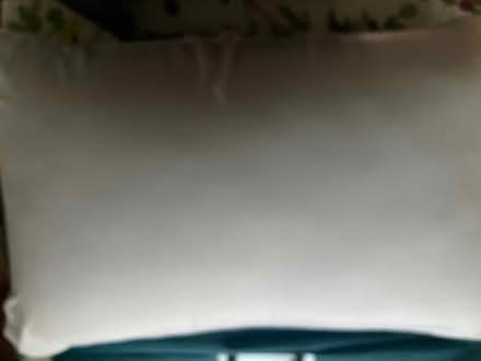 Photo of free New NanoTech Side Sleeper Pillow (Alkham CT15) #3