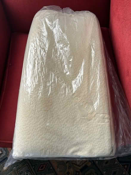 Photo of free Tempur-pedic pillow (Alameda) #1
