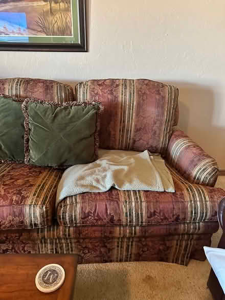 Photo of free Large 9Ft sofa with pillows (Mustang) #2