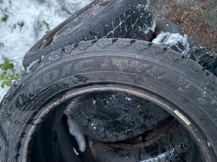 Photo of free 205/55/R16 Goodyear winter tire (Browns Line/Lakeshore) #2