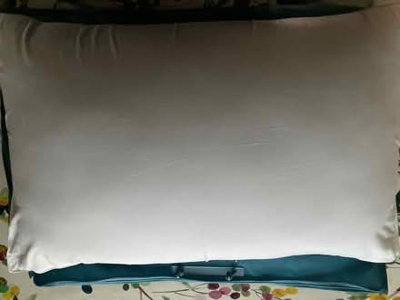 Photo of free New NanoTech Side Sleeper Pillow (Alkham CT15) #2