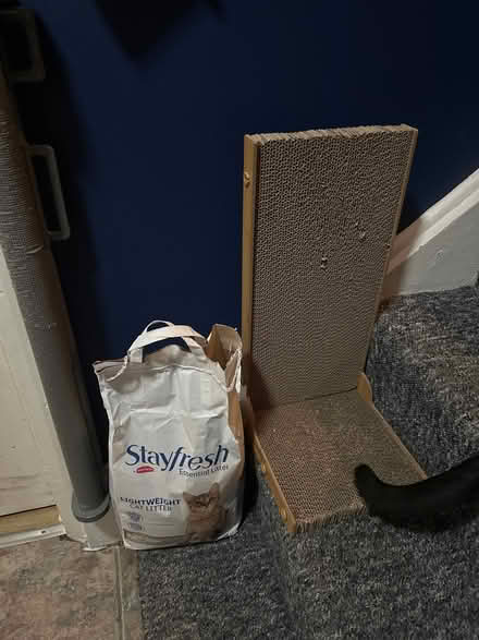 Photo of free Cat litter and scratcher (Greater Leys OX4) #1