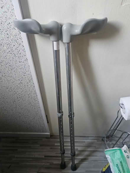 Photo of free Walking sticks (Broomhouss EH11) #1