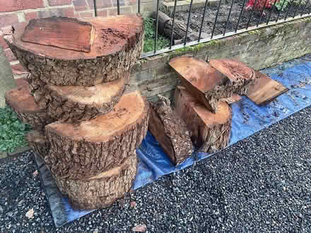 Photo of free Freshly cut tree logs (Kingston upon Thames, KT1) #2