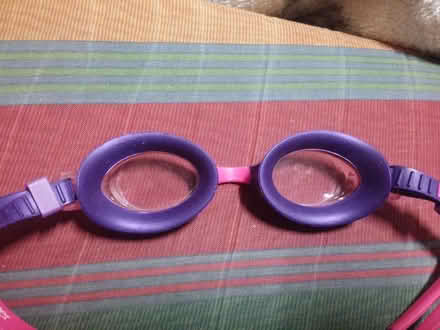 Photo of free Kids' swimming goggles (Huntingdon PE29) #3