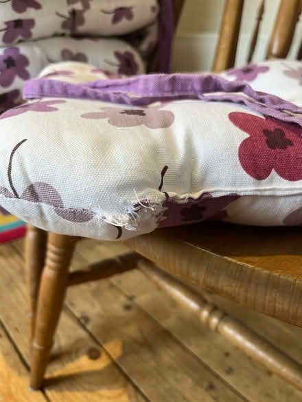 Photo of free Kitchen chairs x4 plus cushions (Dublin 14) #3