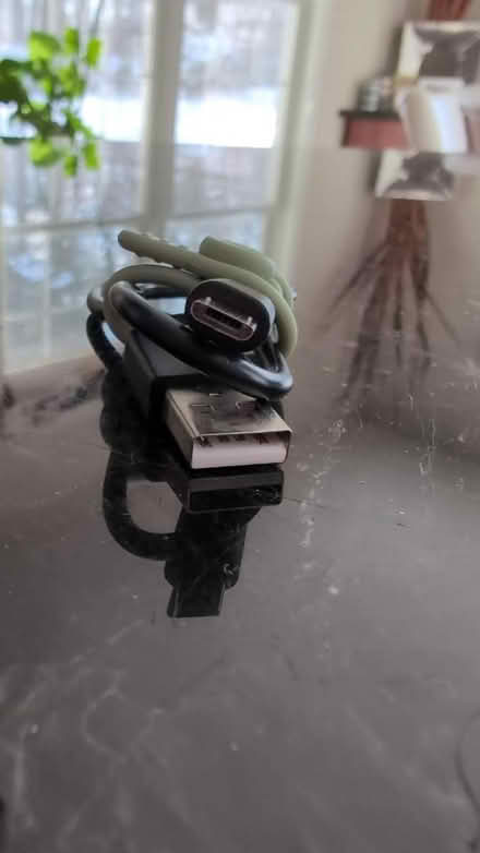 Photo of free Cables/laptop lock (Off route 62) #3