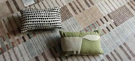 Photo of free Pair of fox cushions (Costorphine EH12) #1