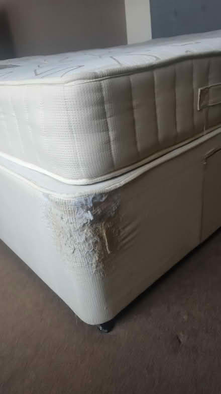 Photo of free Double Divan bed (Dorchester DT 2) #2