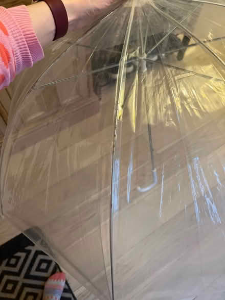Photo of free Clear umbrella (BS9) #3