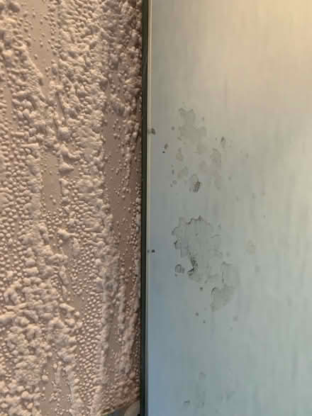 Photo of free Frameless mirror (Bakewell DE45) #2