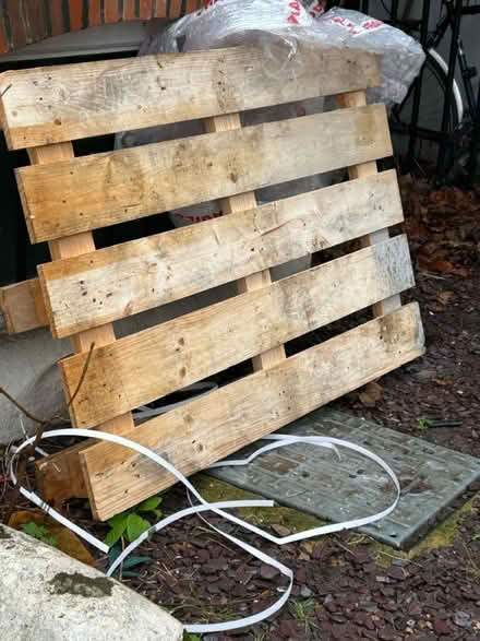 Photo of free One wooden pallet (Highbury N5) #1